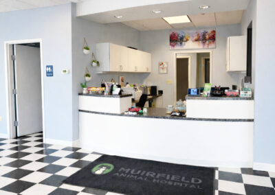 Muirfield Animal Hospital lobby, Dublin, Ohio