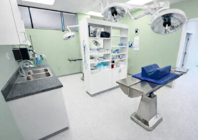 Muirfield Animal Hospital surgery suite, Dublin, Ohio