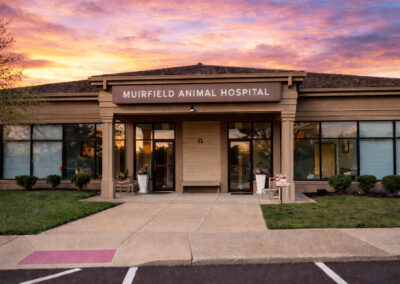 Muirfield Animal Hospital, Dublin, Ohio