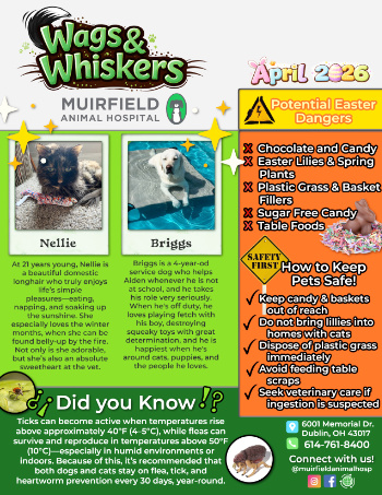 Wags & Whiskers, Muirfield Animal Hospital