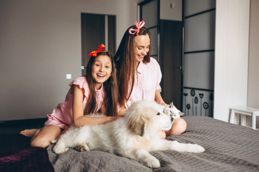 Wellness visits, Muirfield Animal Hospital