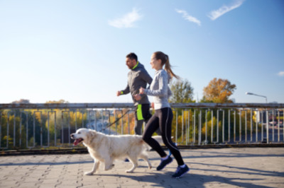 Behavior & Nutrition Consultation, Muirfield Animal Hospital, Dublin, Ohio