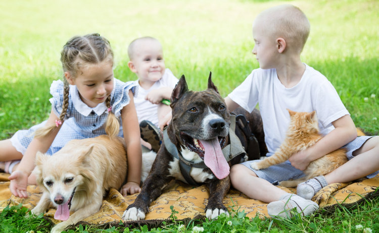 Behavior & Nutrition Consultation, Muirfield Animal Hospital, Dublin, Ohio