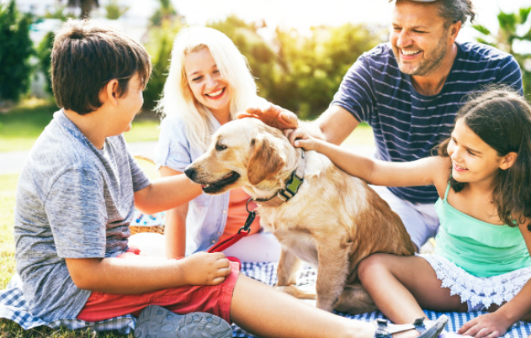 Veterinary Medical Care at Muirfield Animal Hospital