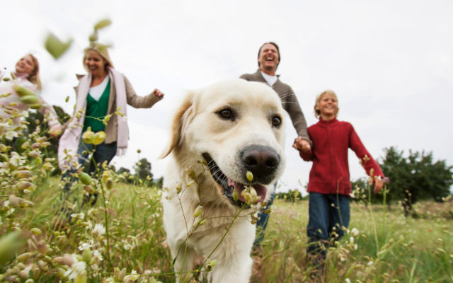 Muirfield Animal Hospital, Dublin, Ohio