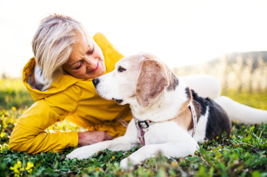End of Life Care and Hospice, Muirfield Animal Hospital, Dublin, Ohio