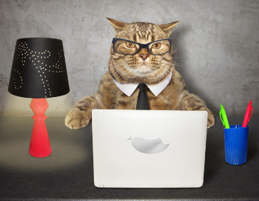 Pet Care Resources