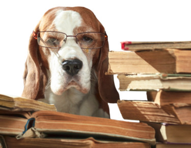 Pet Care Resources
