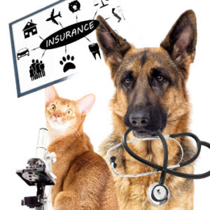 Muirfield Animal Hospital, Dublin, Ohio