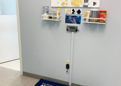 Muirfield Animal Hospital weight check, Dublin, Ohio